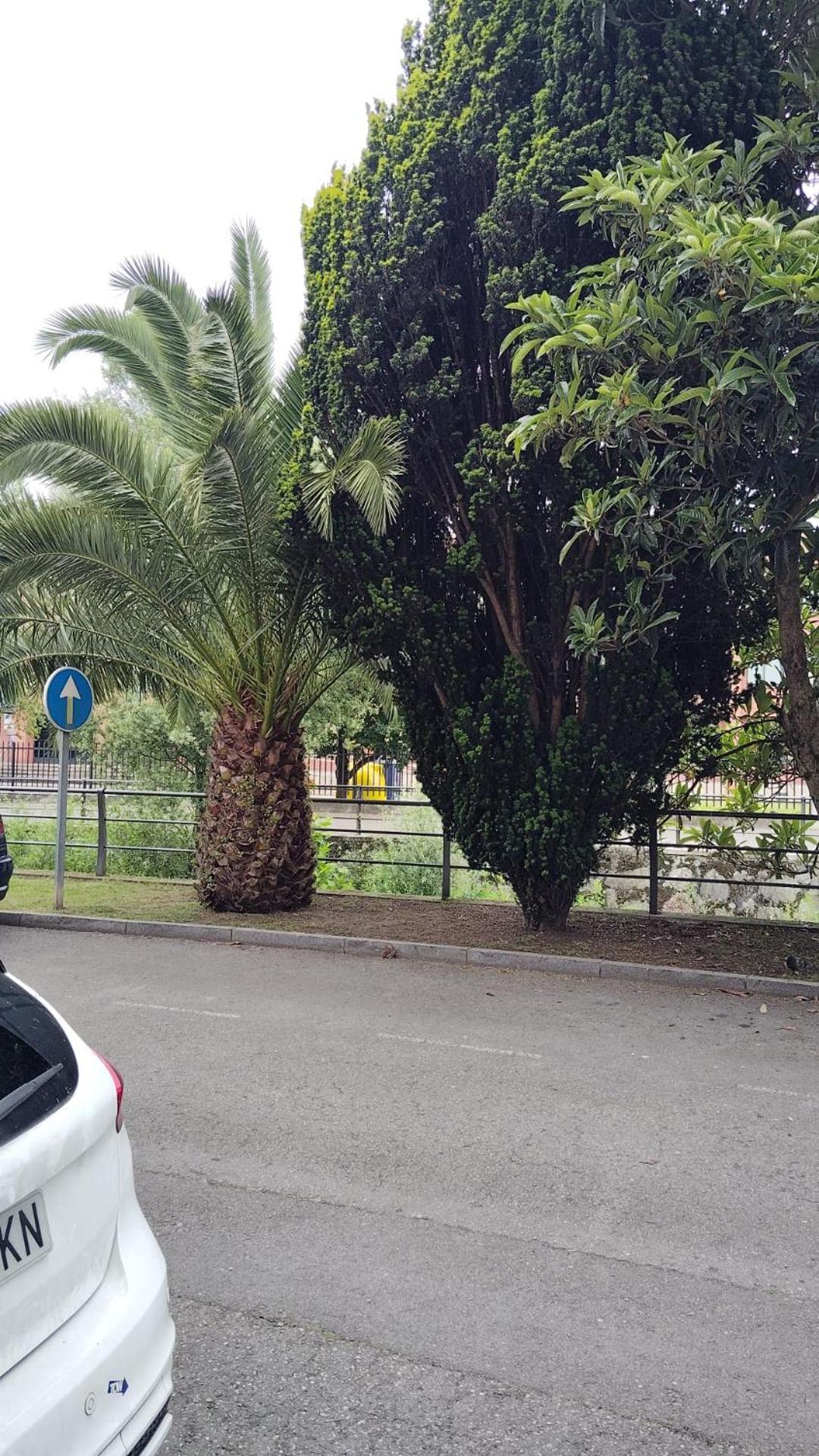 Apartament El Caudalin De Mieres Mieres  Zewnętrze zdjęcie